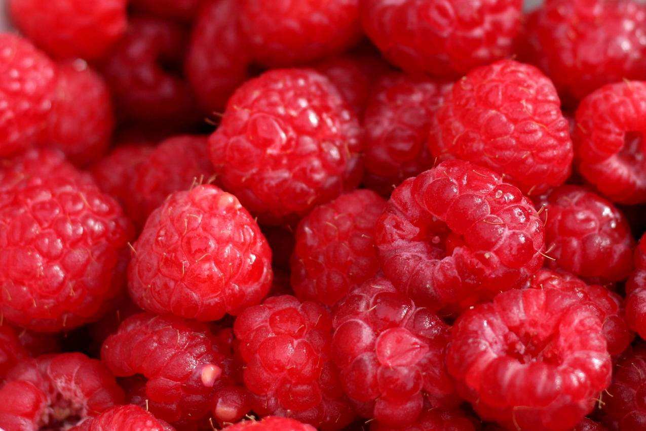 cc0可商用高清食品,水果,树莓图片