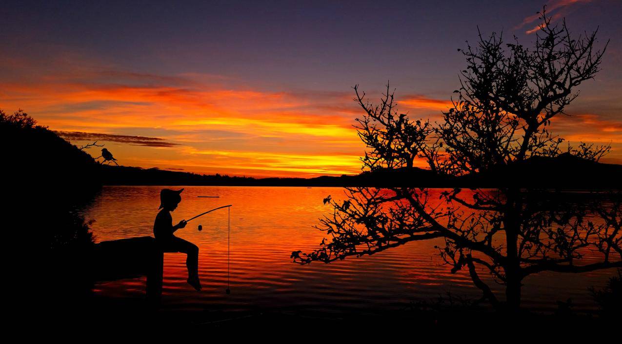 钓鱼,光,海,黎明cc0可商用图片