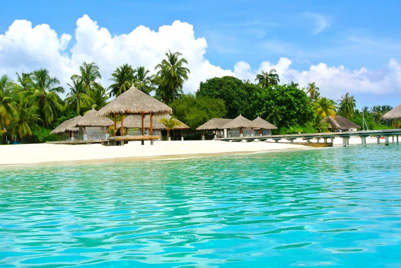 马尔代夫海边的茅草屋凉亭与椰子树景观图片