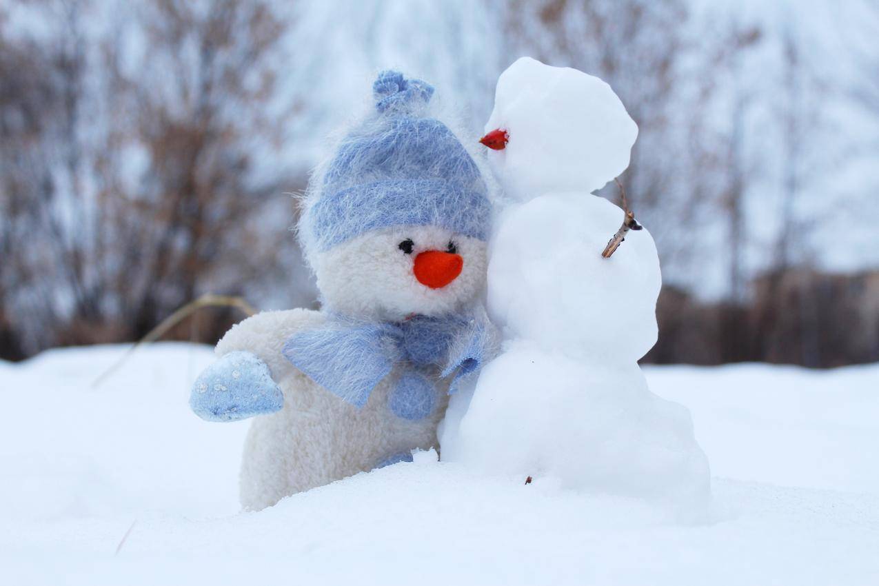 cc0可商用高清的雪,雪,假日,朋友的图片