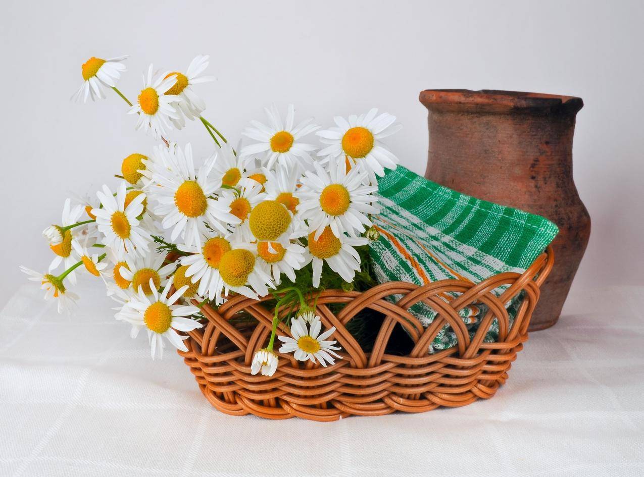 棕色花篮上的白色和橙色雏菊花在棕色花瓶附近