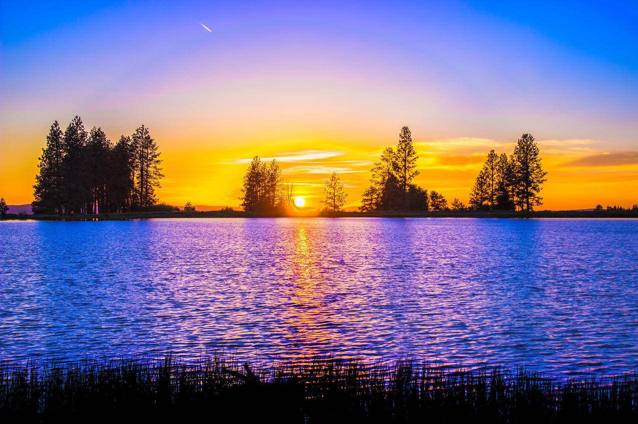 蓝色和橙色落日在湖面上的树影