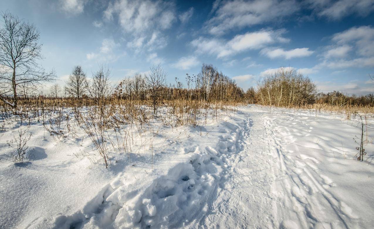 冬天的雪地高清图片