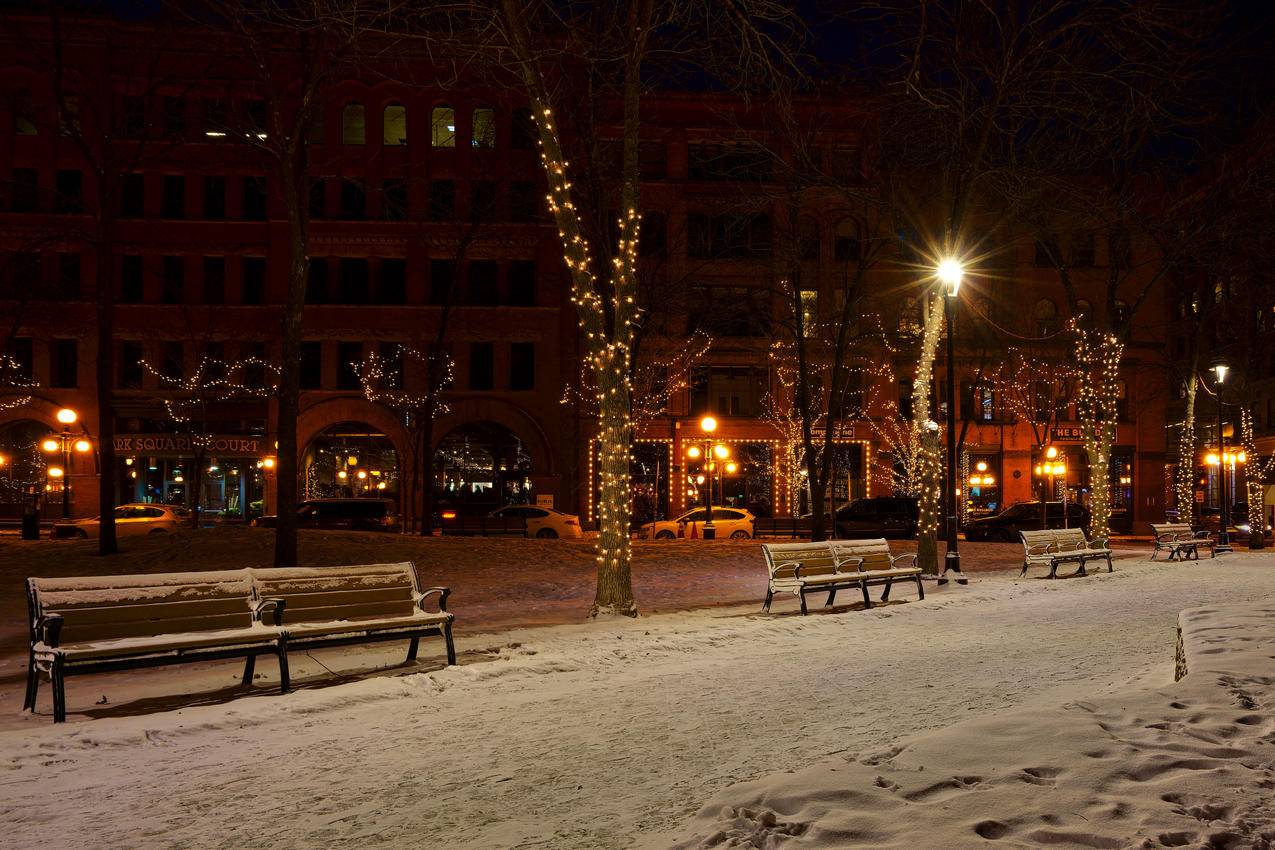 街道上覆盖着雪的长椅图片
