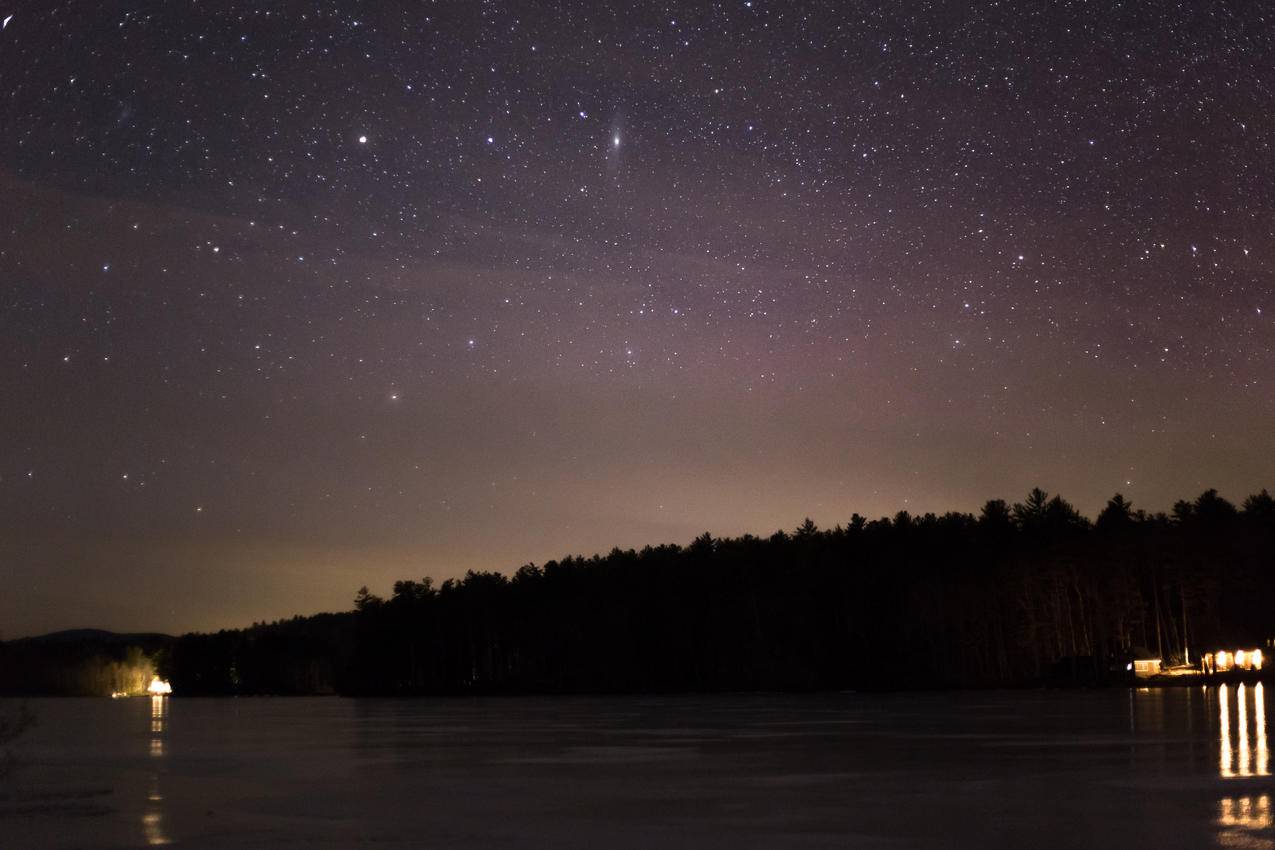 星夜森林