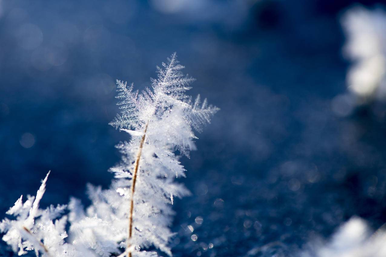 雪花的宏观摄影