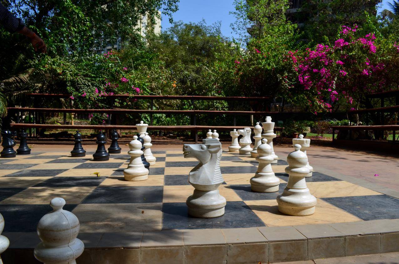 花园中的国际象棋景观图片