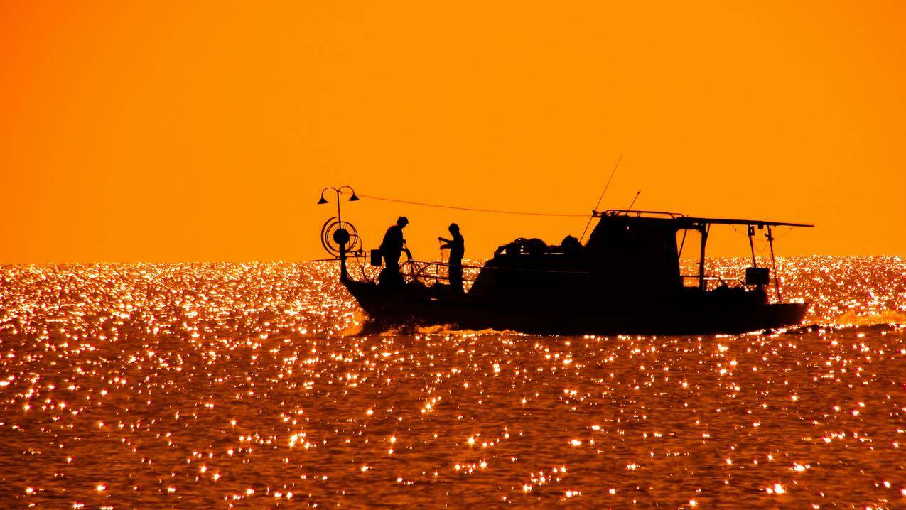 钓鱼,海洋,黎明,大自然cc0可商用高清大图