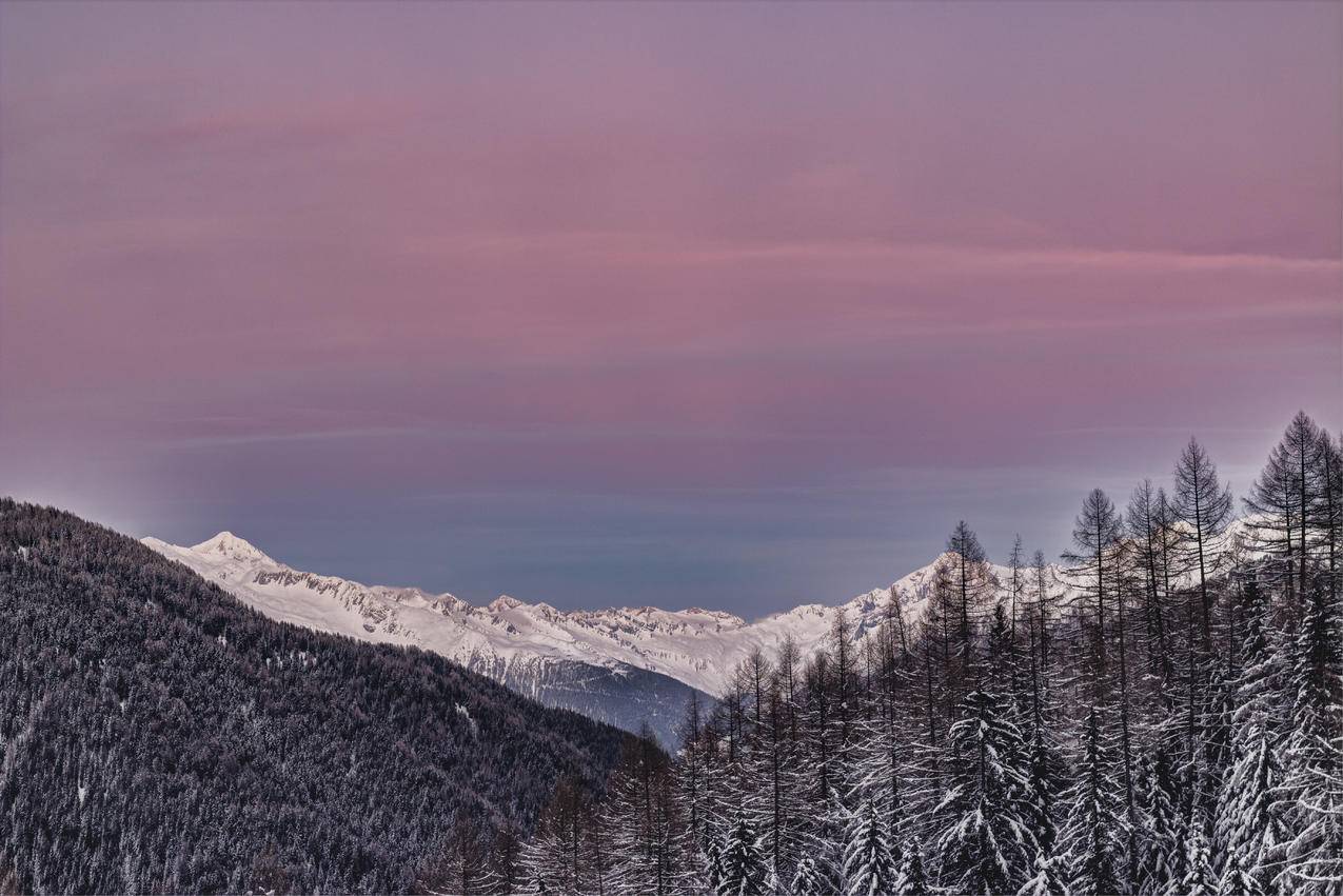 山上覆盖着雪和树木环绕的高清图片