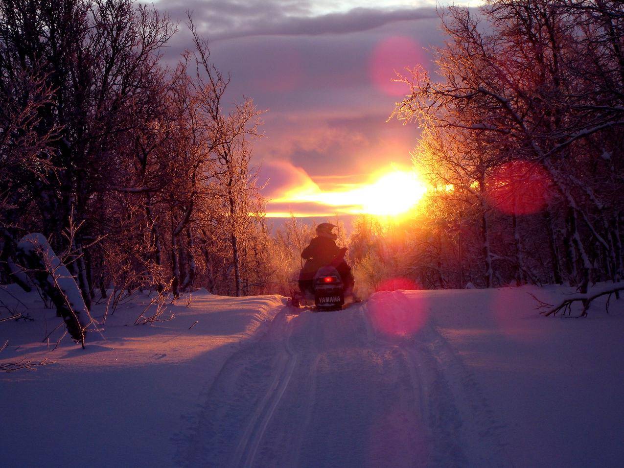cc0可商用高清的雪,雪,黎明,风景图片