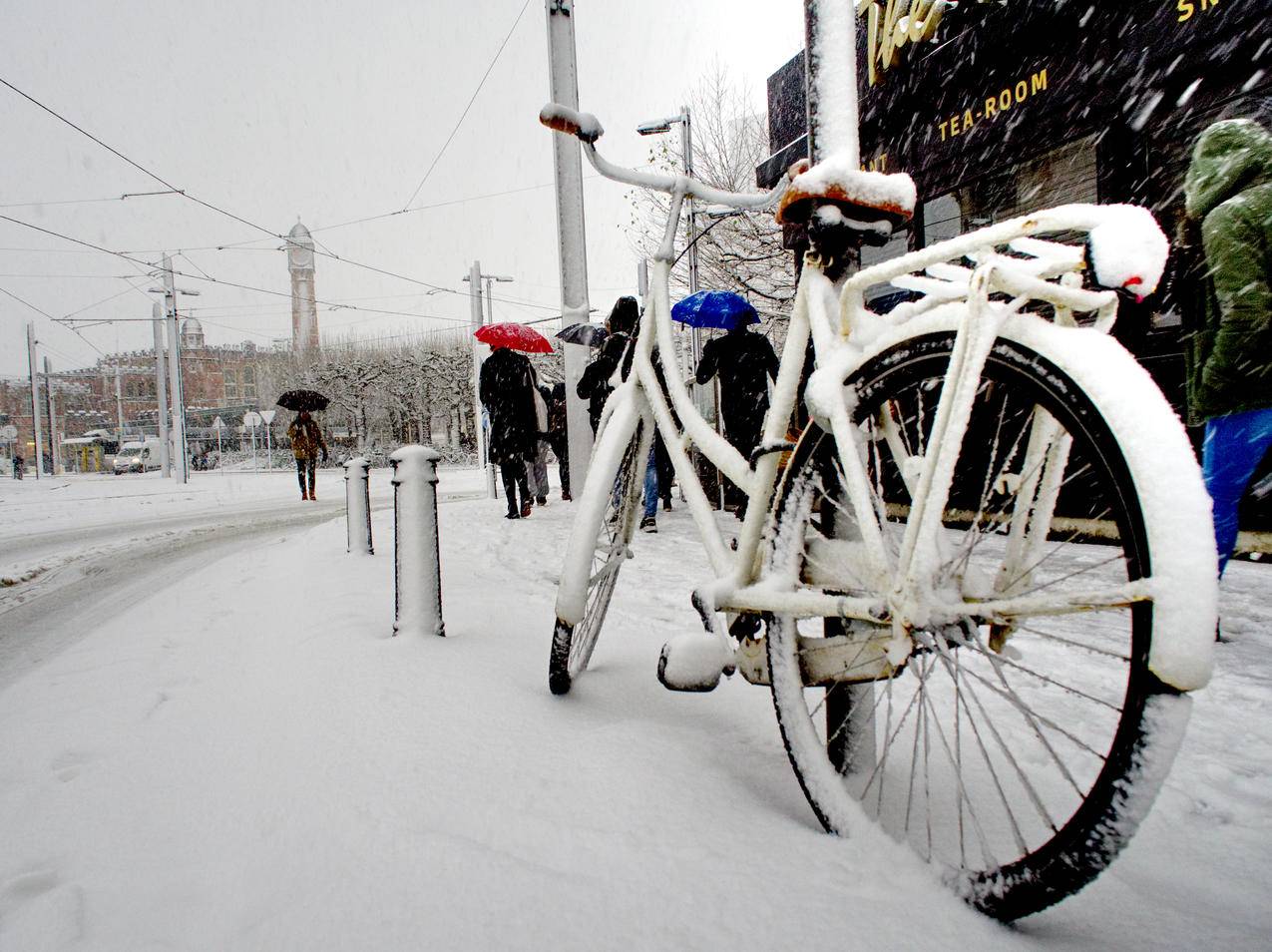 白色城市自行车覆盖与中岛幸惠