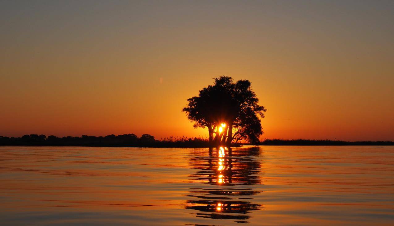 平静的水面俯瞰夕阳落在地平线上被树影遮挡