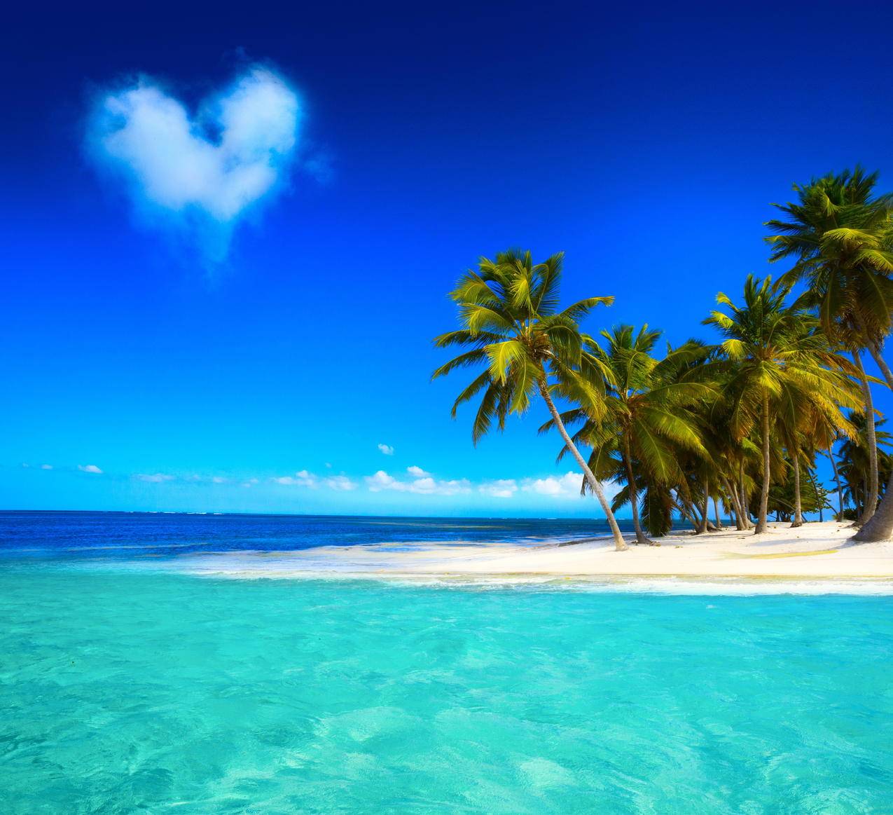 蓝天大海,沙滩,海岸,蓝色,翡翠,海洋,棕榈树,6K风景壁纸
