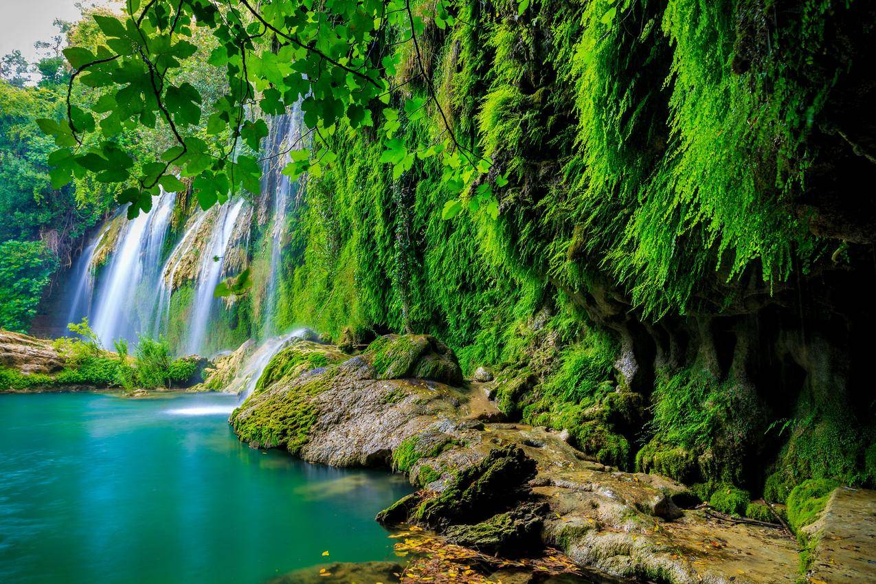 森林,瀑布,岩石,绿色苔藓,岩石,树枝,树叶,5K风景图片