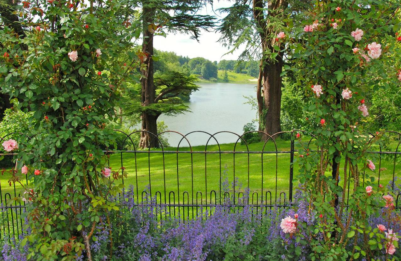 牛津郡花园,树木,玫瑰花,篱笆,绿色草地,河流风景图片