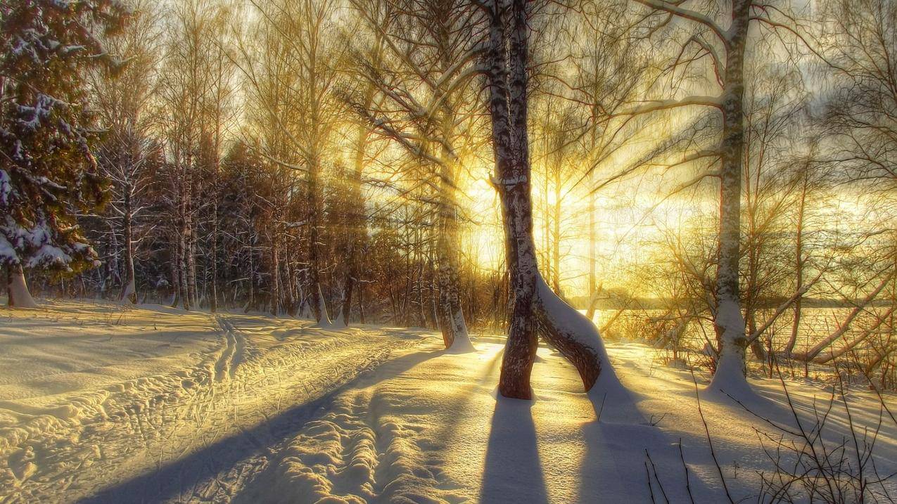自然,冬天,阳光,光,4K风景壁纸