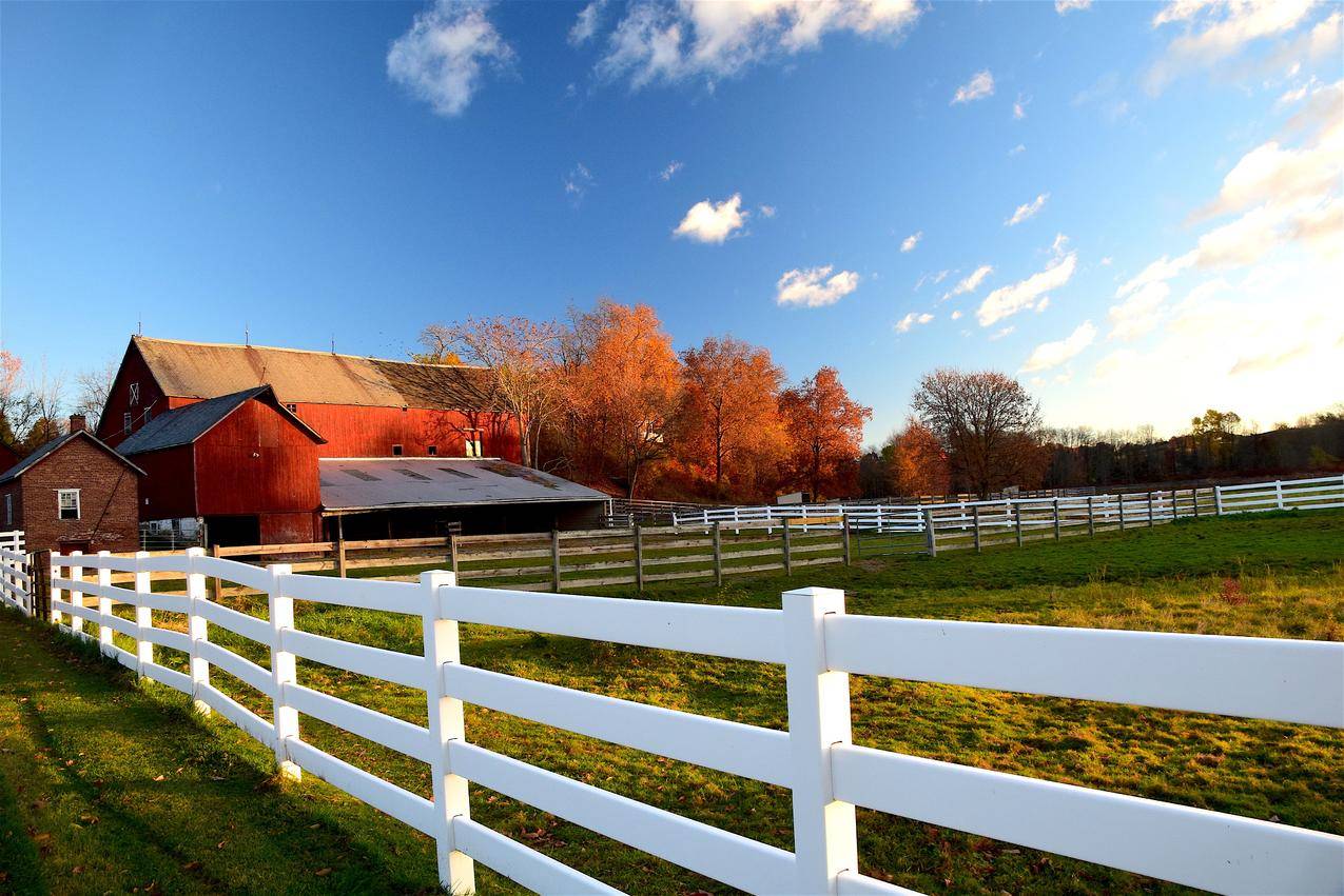 谷仓,篱笆,农村,农场,乡村,牧场,4K风景图片