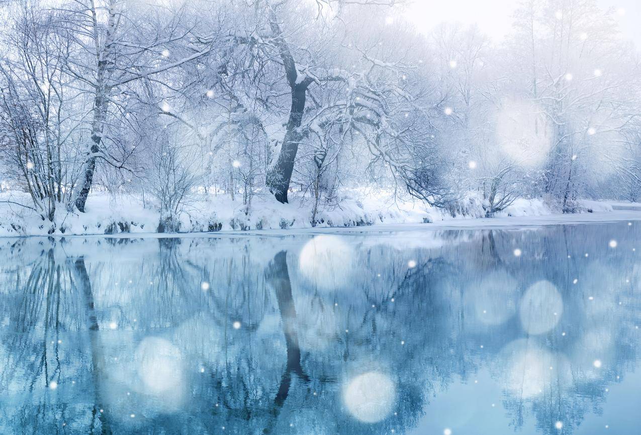 冬季,树,河流,7K风景图片