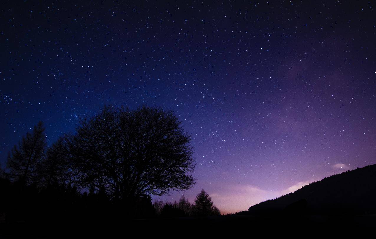 美丽的夜晚,树,星空,4K壁纸