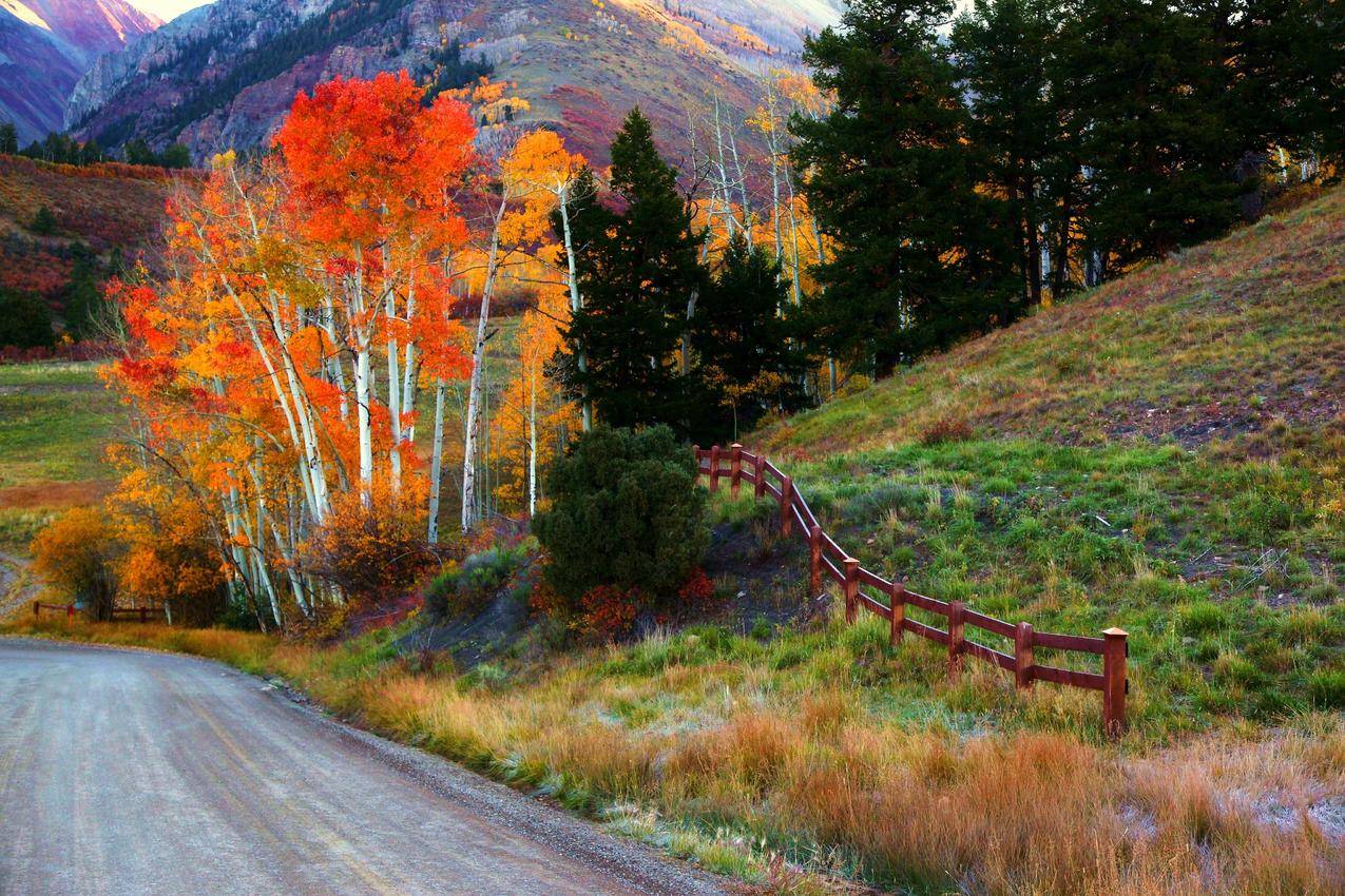 秋天风景,道路,栅栏,4K图片