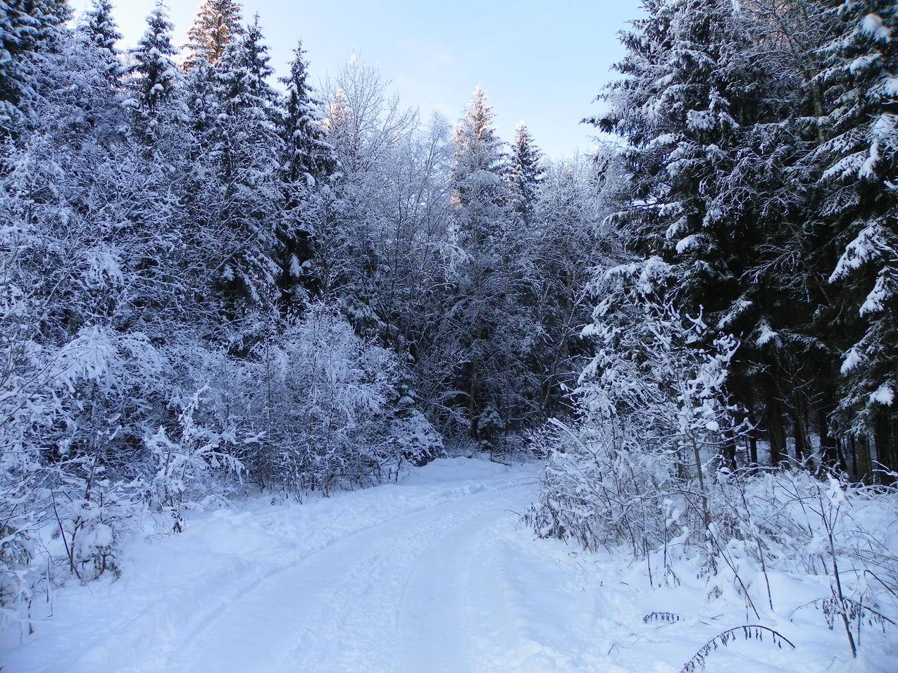 冬季道路转弯4K风景图片壁纸