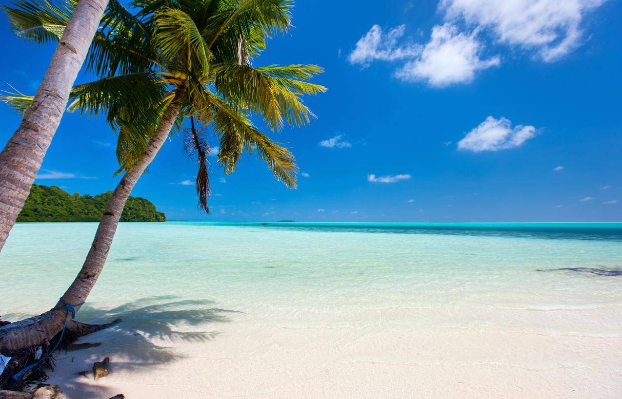 阳光,热带,夏天,大海,海水,棕榈树,岛屿,4K风景壁纸