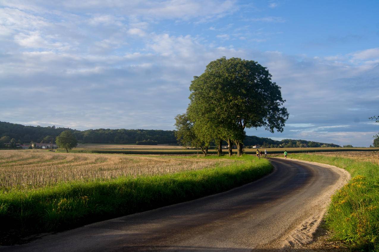 法国乡村公路4K风景图片