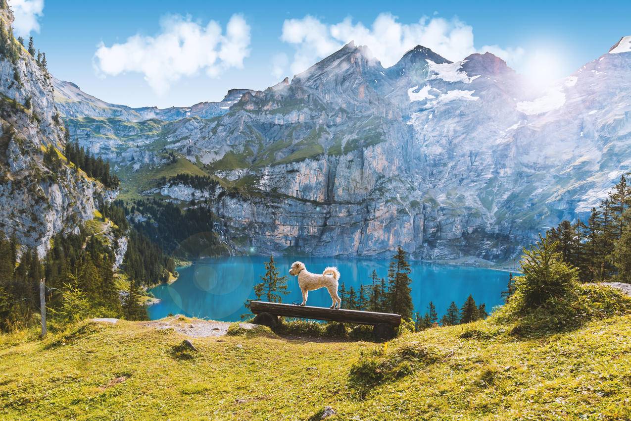瑞士坎德施泰格,湖,4K风景壁纸