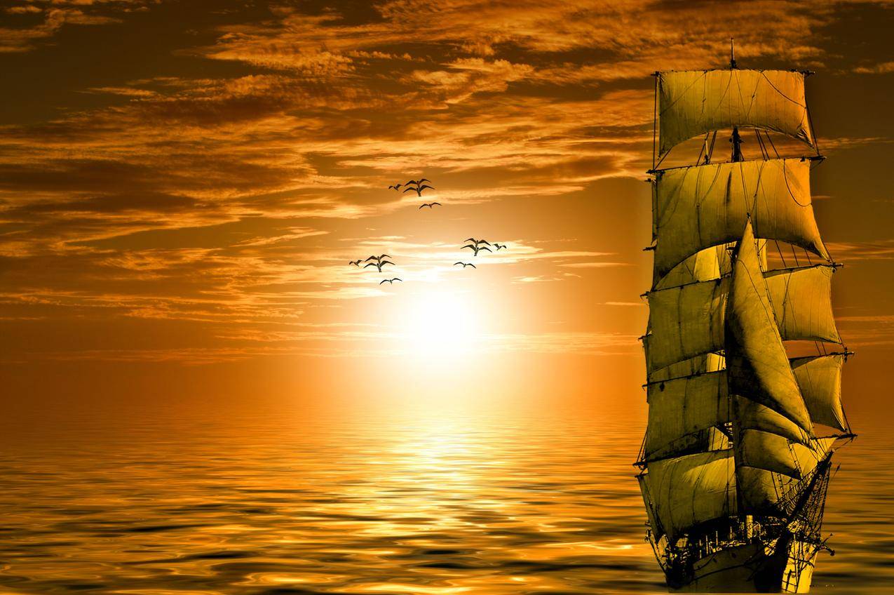 太阳,船舶,大海,海洋,海鸥,天空,云,日落,黄昏,6K风景壁纸