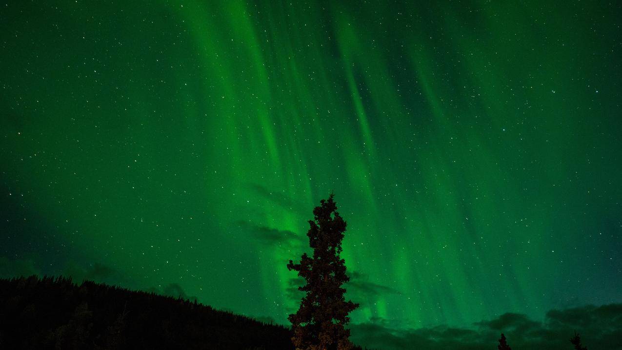 北极光,绿色,极光,星空,6K风景壁纸