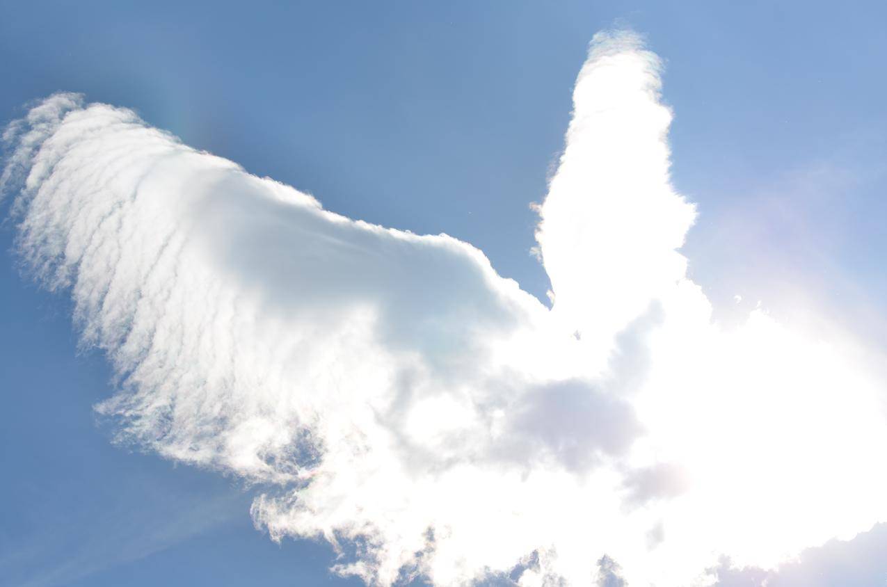 白云,艺术,鸟,翅膀,天空,4K风景壁纸