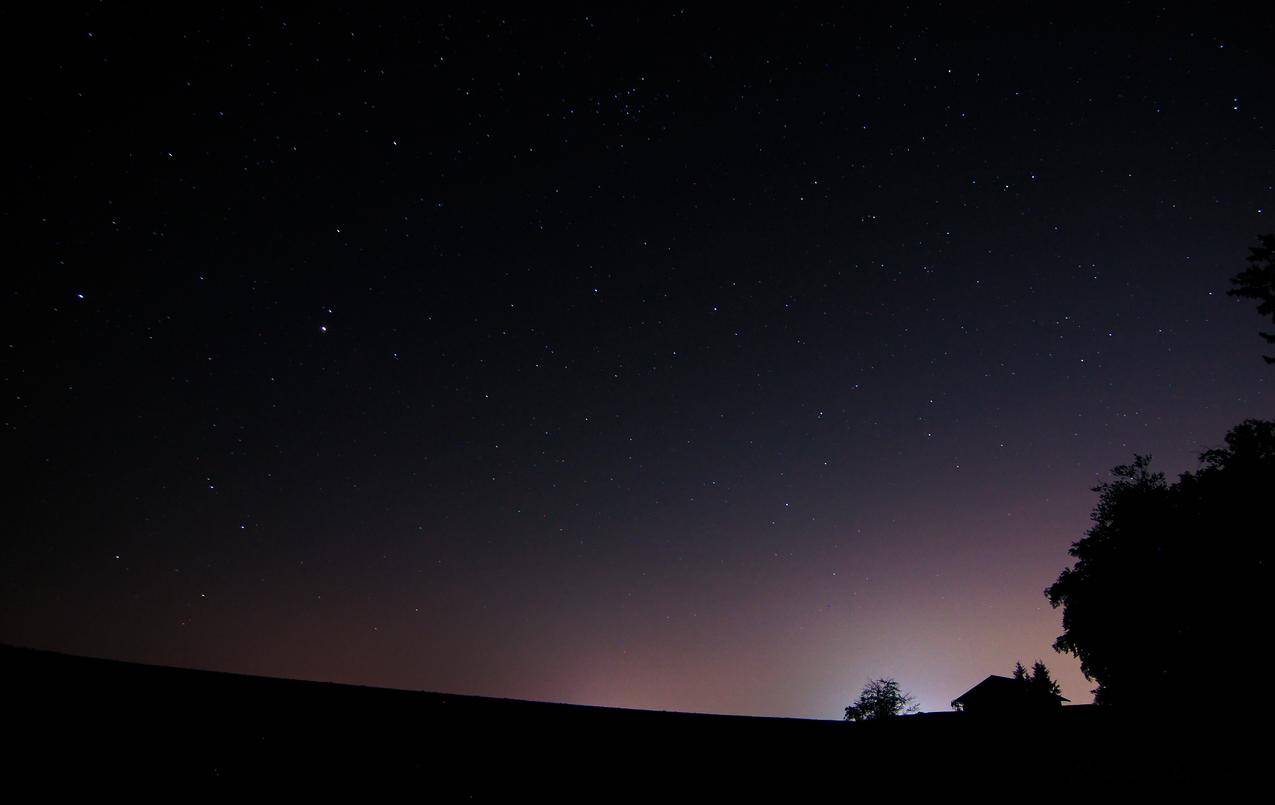 森林,夜晚的天空,星空,4K风景壁纸
