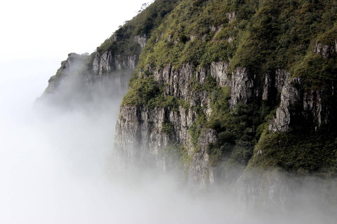 高山,雾,绿色,5k壁纸