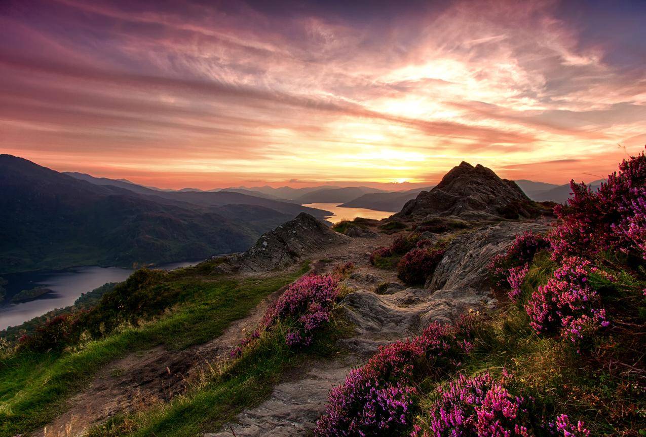 天空,草地,鲜花,山脉,河流,苏格兰,特罗萨克斯山国家公园,4K风景壁纸

