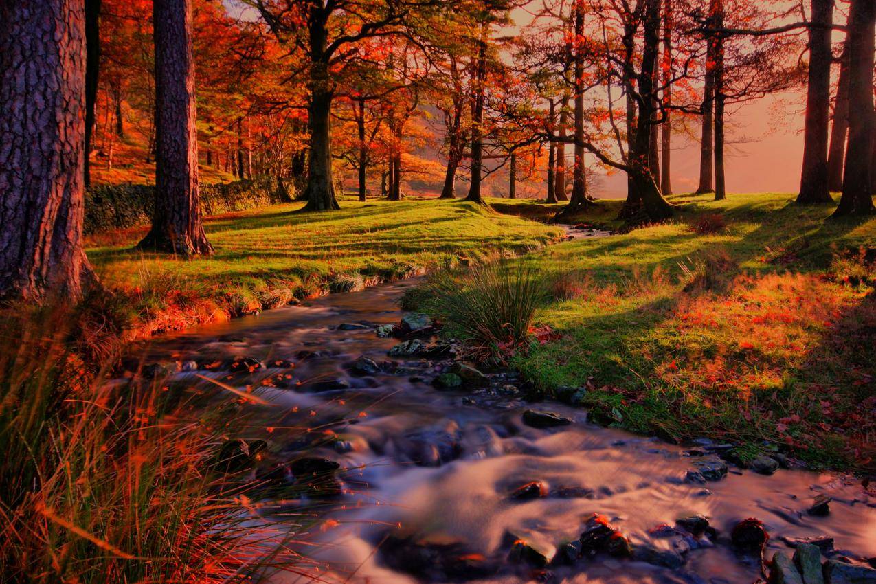 自然风景,日落,森林,小溪流水,4K风景壁纸图片