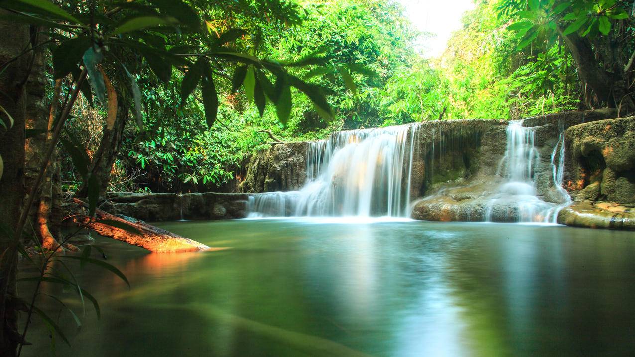 阳光,绿色,溪流,瀑布,泰国,热带,森林,4K壁纸