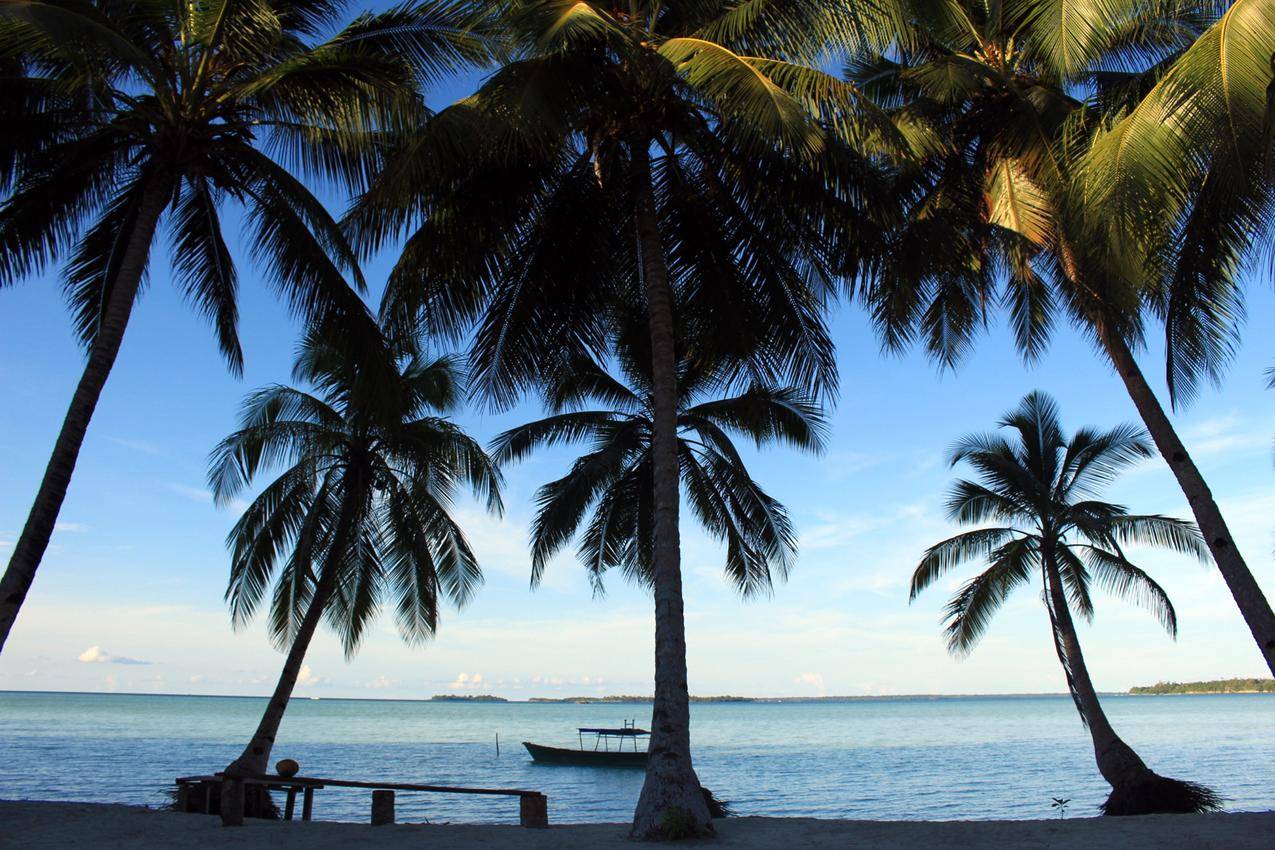 海滩,椰子树,免费图片,自然旅游,海,椰子,视图,树,云,海边风景4K壁纸