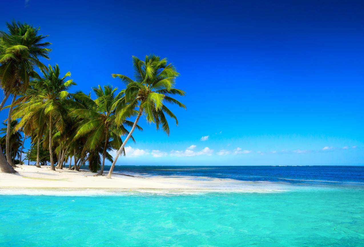 热带地区沙滩棕榈树蓝色大海天空风景图片
