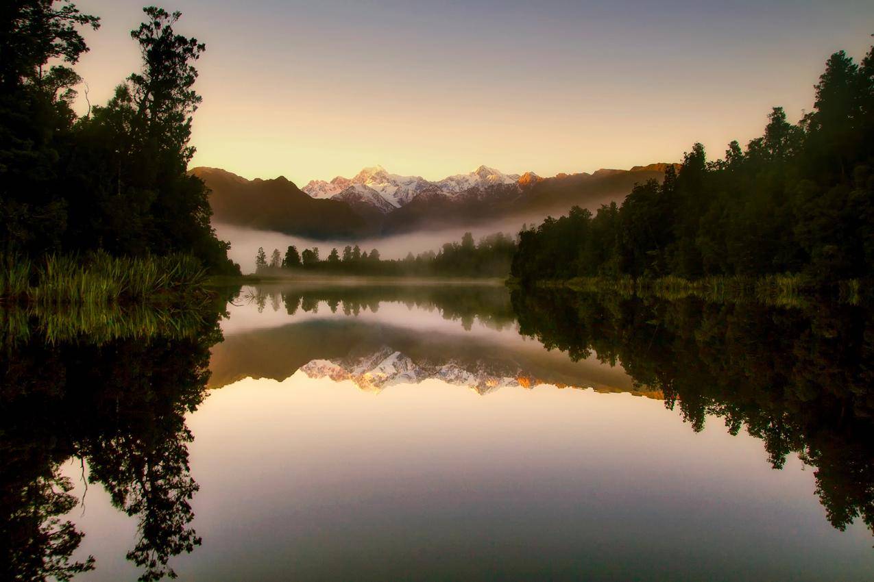 新西兰,日出,雾,上午,森林,树,自然风景图片