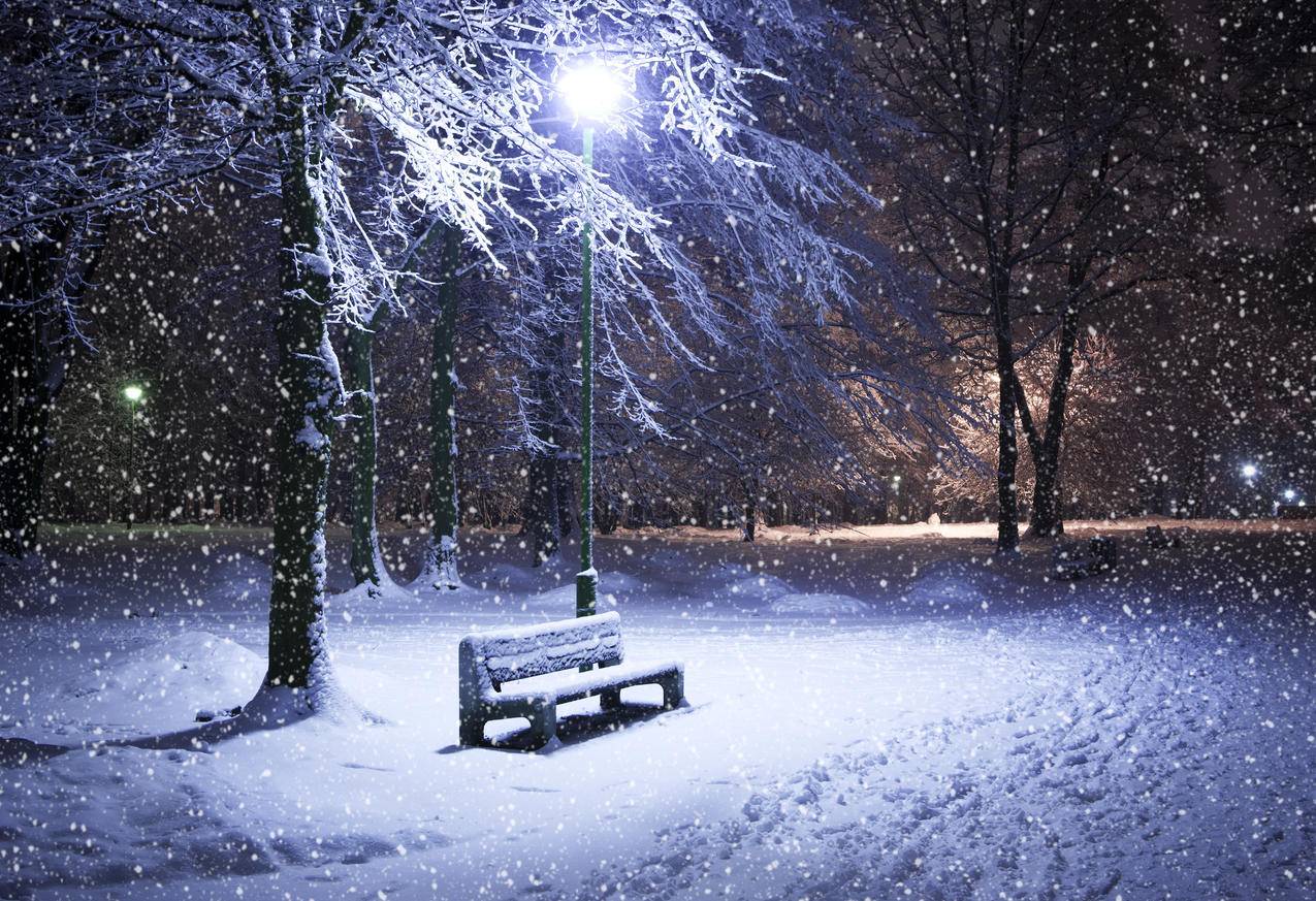 公园,晚上,灯,冬季,树木,5K风景壁纸