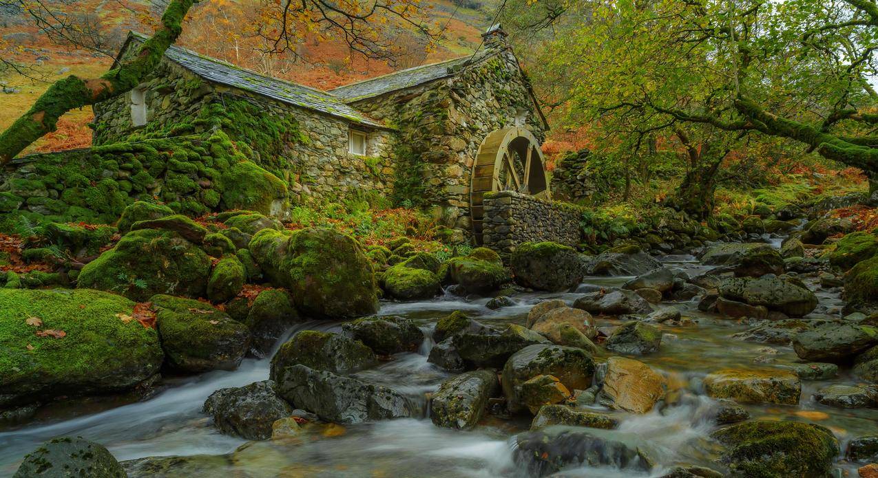 秋天,树叶,树木,河流,岩石,4K风景图片壁纸
