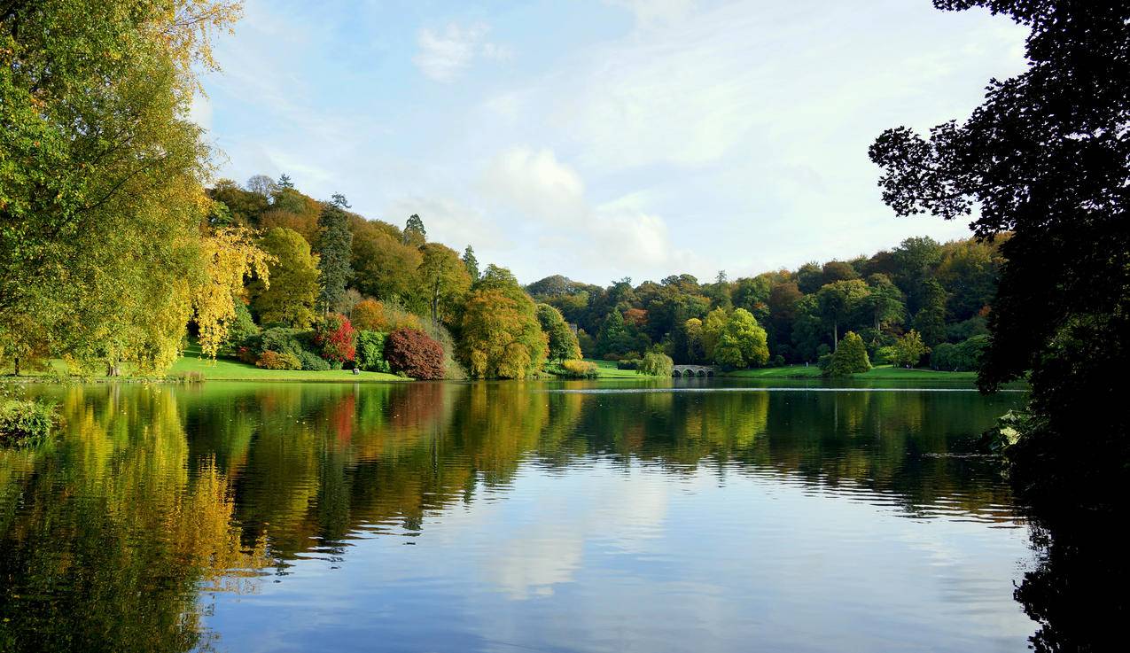 秋天,公园,树木,桥梁,池塘,湖,5K自然风景图片
