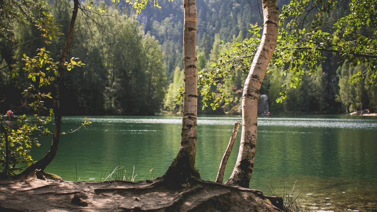 捷克共和国,湖畔,自然风景4K壁纸