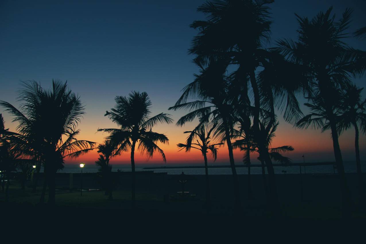 日落,迪拜,海边风景,4K壁纸