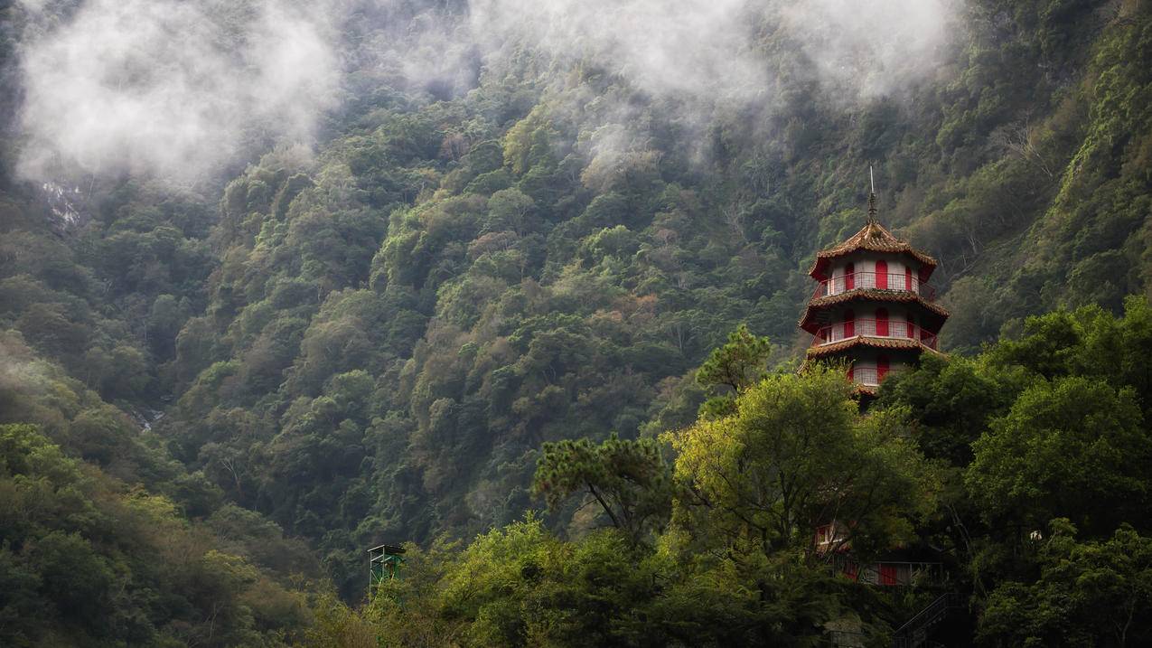 森林,山雾,塔,台湾风景4k壁纸