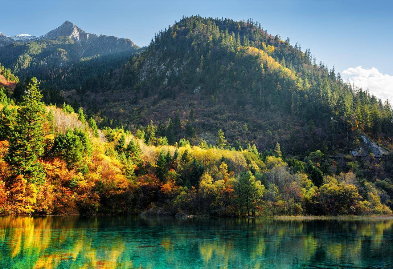 秋天,森林,树木,九寨沟风景4K壁纸