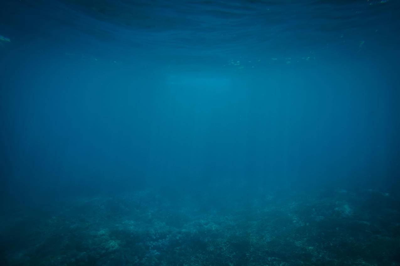 海,海底,蓝色,5k壁纸