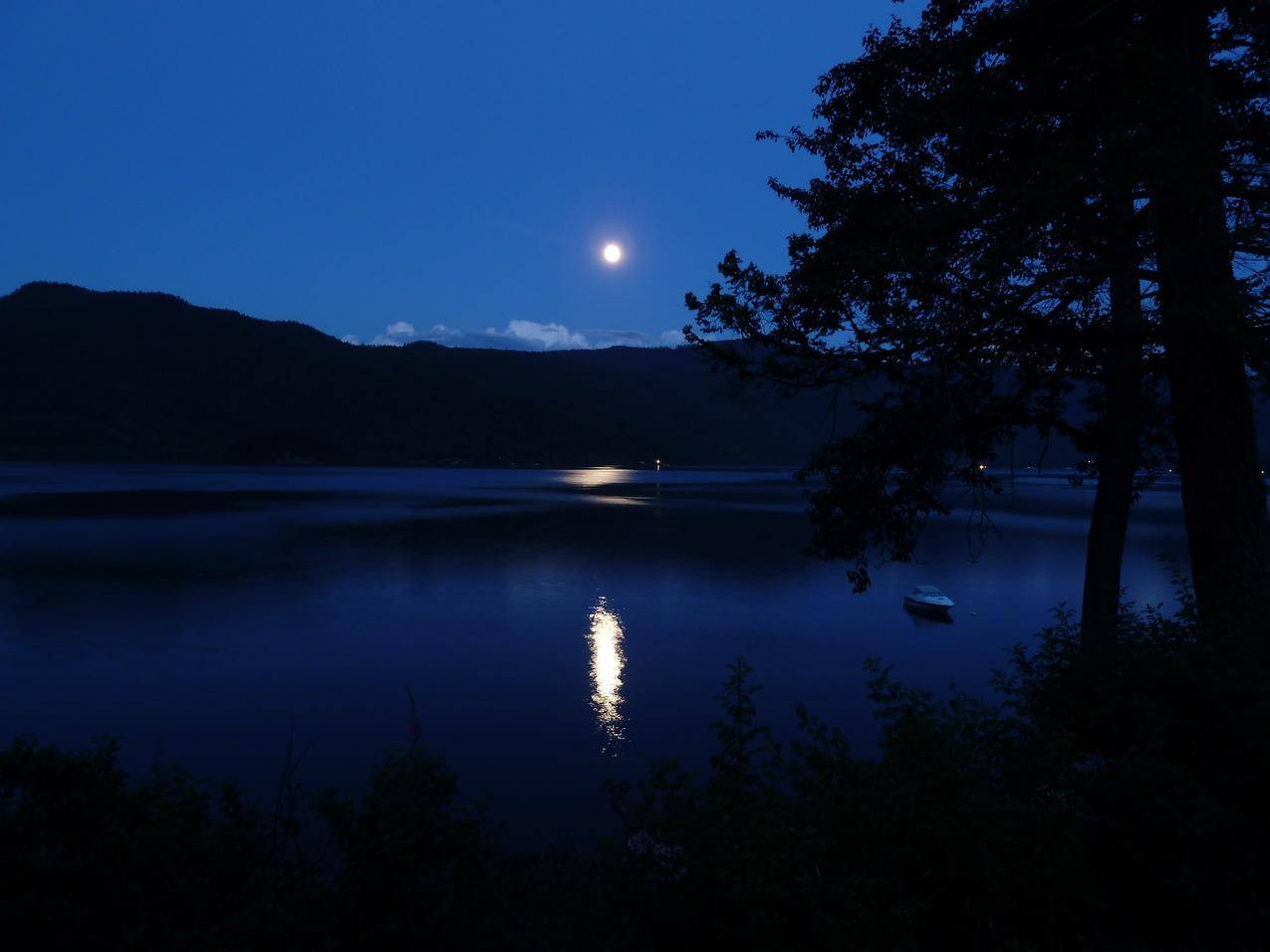月亮,月亮照耀,卡尼姆湖,丘陵,湖,树,夜景,4K壁纸