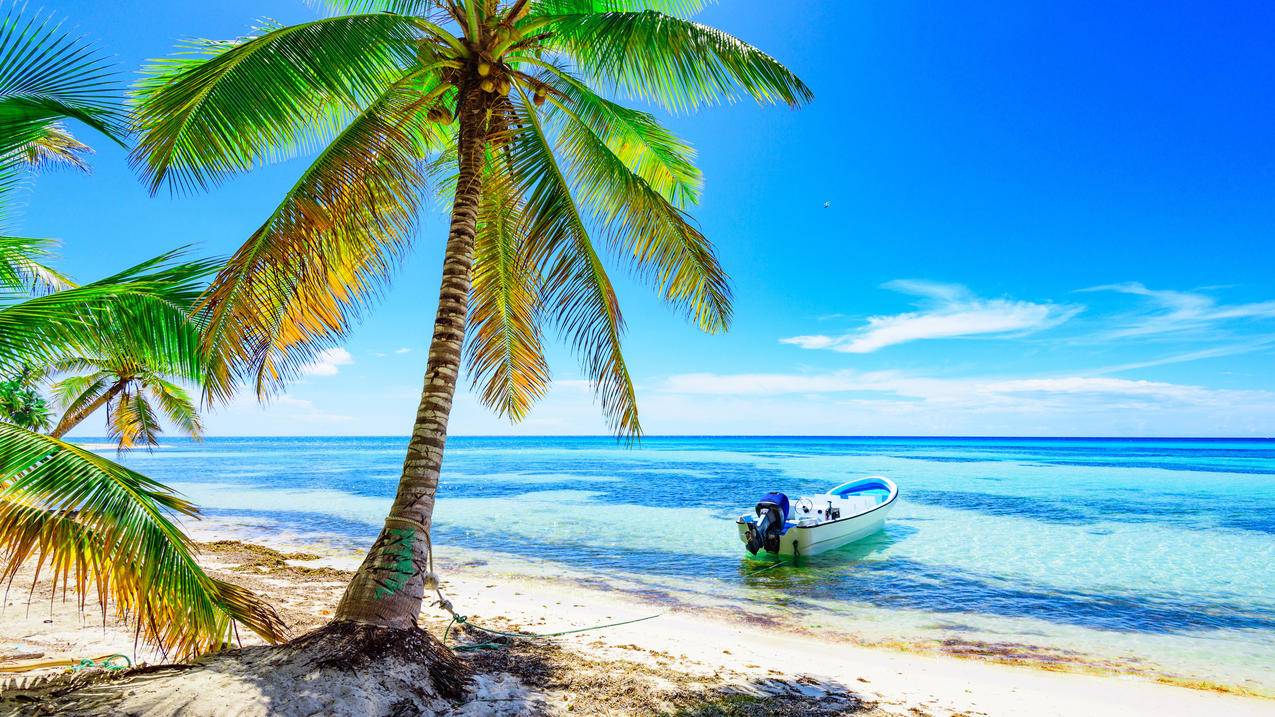 阳光,热带,夏天,大海,棕榈树,岛屿,船,海边风景4K壁纸3840x2160