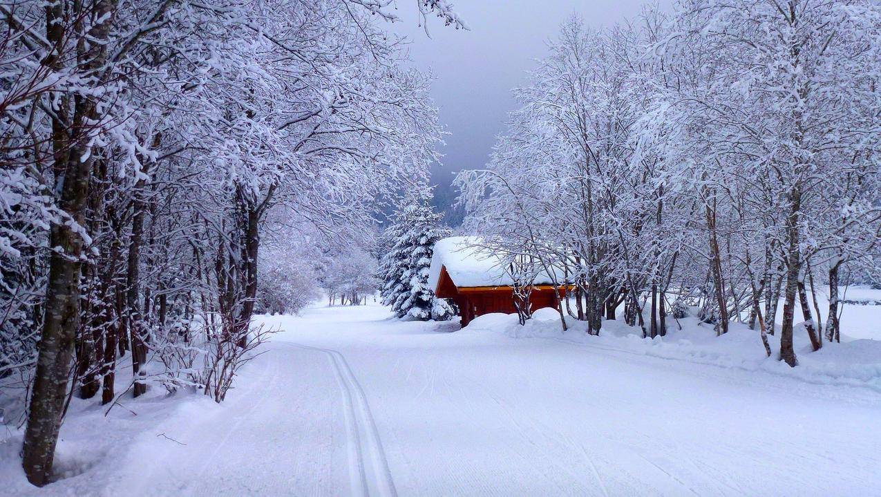 自然,道路,家,房子,冬季风景4K风景壁纸